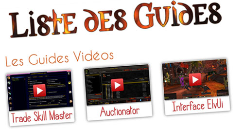 guide